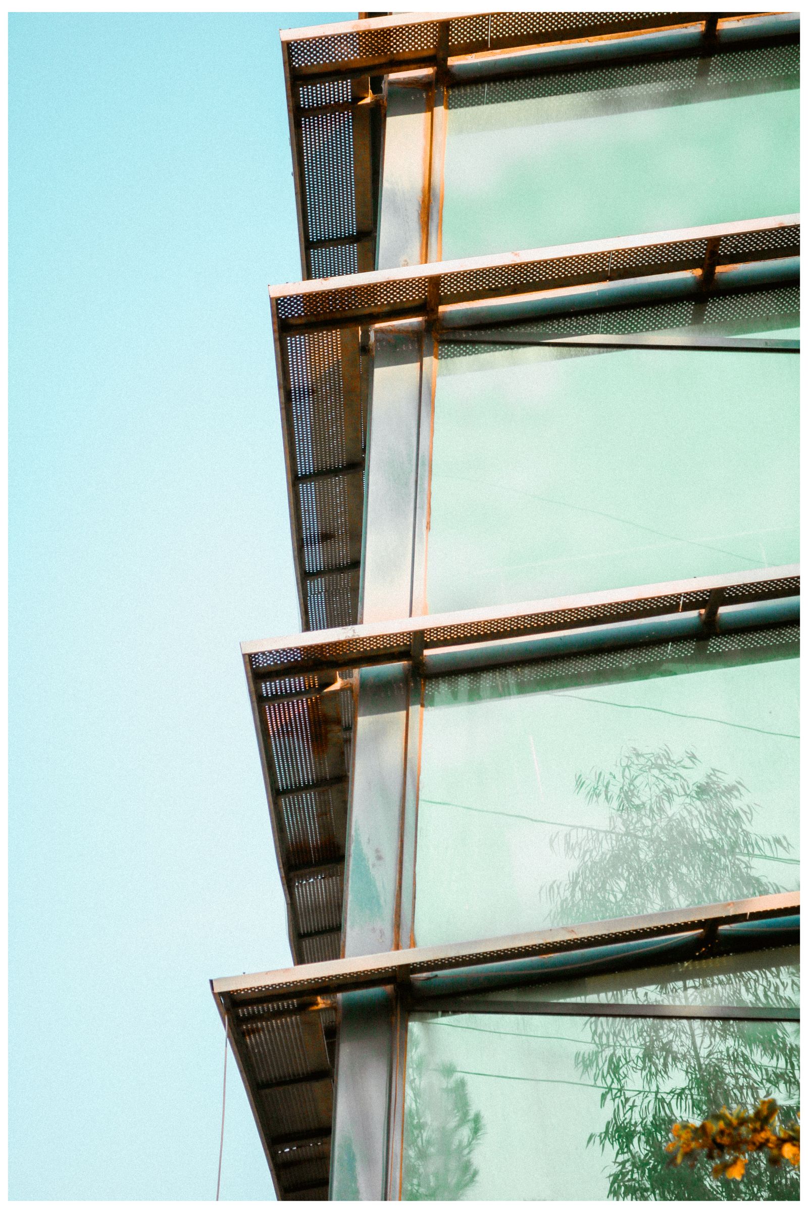 Glass architectural surface reflecting trees and blue sky