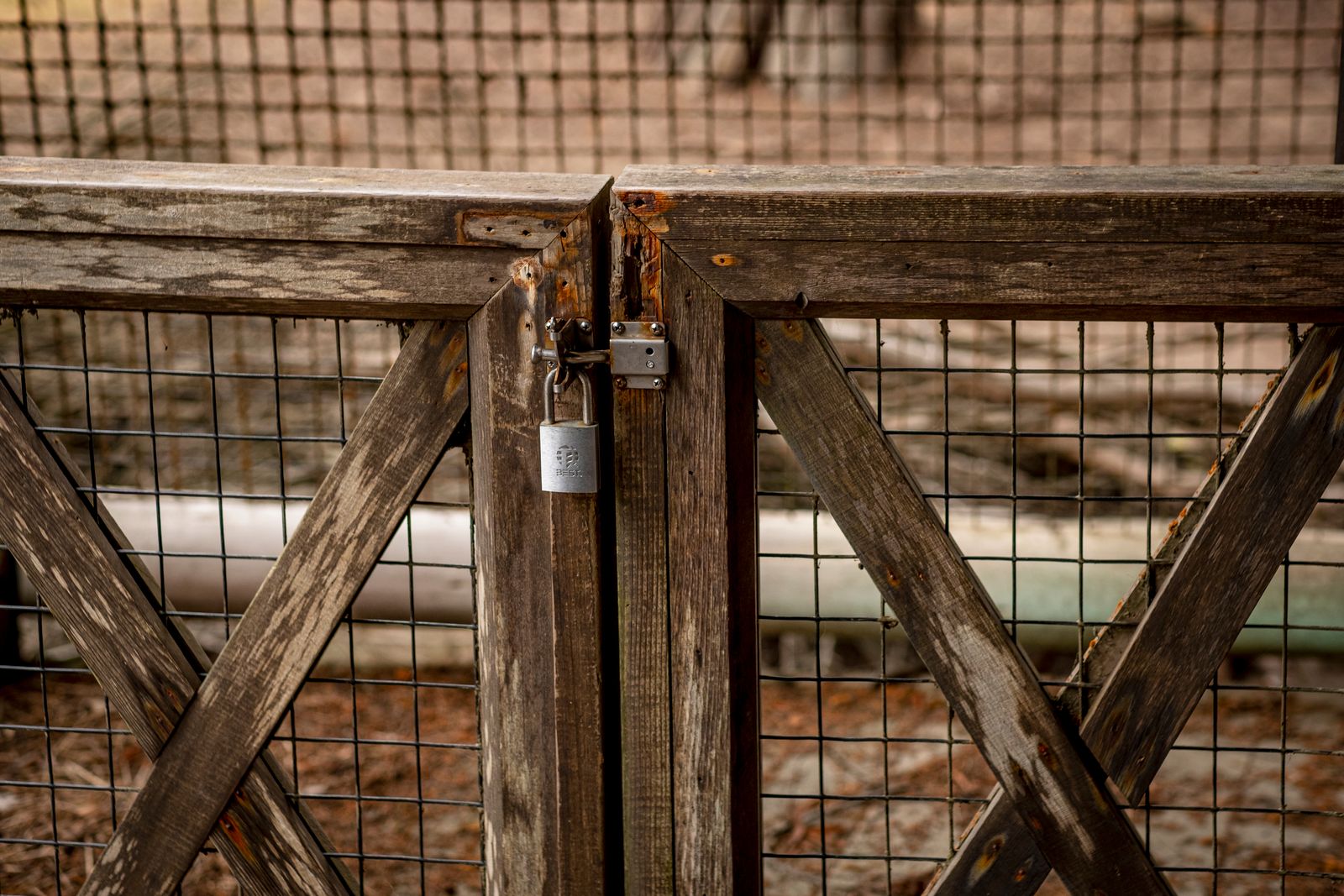 Metal padlock and latch attached to a weathered wooden gate